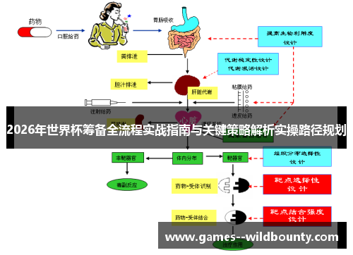 2026年世界杯筹备全流程实战指南与关键策略解析实操路径规划